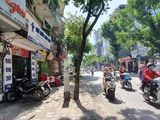 Mặt Phố Ba Đình – Phố Vip 295M2 – Mặt Tiền 7.3 – Kinh Doanh Đỉnh – Vỉa Hè Rộng