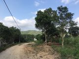 Bán Đất Thôn 4 Hoành Bồ Cách Cầu Bang Chưa Đầy 2Km - Đường Bê Tông Ô Tô Vào Tận Nhà