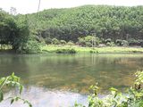 Bán Ô Đất Hoa Hậu Cạnh Suối Ở Thôn Lưỡng Kì - Xã Thống Nhất - Hoành Bồ Giá Chỉ 3Tr/m2