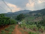 Cần Bán Lô Đất View Đôi Núi Sông Suối Giá Đầu Tư