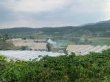 Cần Bán Lô Đất View Đôi Núi Sông Suối Giá Đầu Tư