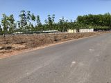 Bán Đất Vườn Chơn Thành, Bình Phước | Diện Tích 1033M2| Giá 550 Triệu