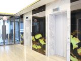 Cho Thuê Văn Phòng Đường Bạch Đằng, Diện Tích Linh Hoạt. Lh Hotline: 098.20.999.20
