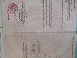2 Lô Đất Đường Số 7, Bình Hưng Hòa, Bình Tân, Vuông Vức Cực Đẹp, Sổ Đỏ Từng Lô. Lh: 0382282373