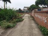 Bán Gấp Lô Đất 167M2 Thôn 5,xã Phú Cát,quốc Oai,hn.lh Ngay Sđt 0586229999