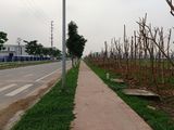 Chính Chủ Cần Bán Gấp Lô Đất Nền Ngay Cạnh Khu Công Nghiệp Yên Phong Mở Rộng