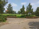 Biệt Thự Sinh Thái Đan Phượng Giá 6 Tỷ Liên Hệ 0946642348