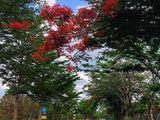 Viva Park Nhà Phố, Biệt Thự Tuyệt Vời Trong Tim Em