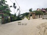 Cơ Hội Đầu Tư Hấp Dẫn Cho Các Nhà Đầu Tư Bđs Đà Lạt