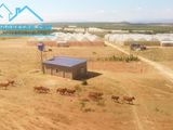Nam Á Garden Đất Vàng Du Lịch Bình Thuận Giá Chỉ Từ 50K/m2