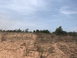 Nam Á Garden Đất Vàng Du Lịch Bình Thuận . Mua Đất Đầu Tư Sinh Lời Giá Cực Hot