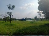 Bán Lô Biệt Đơn Lập Khu A Dự Án New city Phố Nối