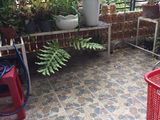 Bán Nhà Đường Quang Trung, Gò Vấp, Hẻm Xe Hơi, 4 Tầng Giá 4.6 Tỷ. Đt 0938837998.