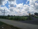 Gấp, Vỡ Nợ. Cần Bán Đất Thổ Cư 194M2, Sổ Hồng Riêng, Chỉ 6.43Tr/m2 Tại Xã Thái Mỹ, Huyện Củ Chi.