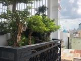 Bán Nhà Đường Nguyễn Hồng Đào, Tân Bình, 5 Tầng Giá 9.7 Tỷ. Đt 0938837998.