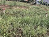 Bán Đất Bình Thủy Cần Thơ 99M2 Giá 572Tr