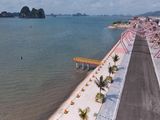 Bán Đất Nền Ven Biển Sổ Đỏ Trao Tay Tại Dự Án Phương Đông Vân Đồn