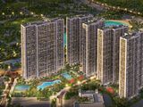 Có 1 Tỷ Mua Nhà Vinhomes, Chuyện Thật Như Đùa