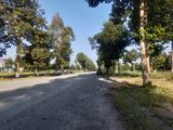 Đất Vàng Stella Mega City - Cơ Hội Vàng Đầu Tư Giá Cđt