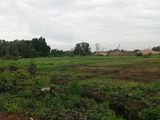 Bán Đất Vườn. Thủ Dầu Một
