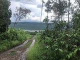 Bán Gấp 43467M2 Hàng Hiếm Di Linh – Lâm Đồng Thích Hợp Nuôi Cá Và Trồng Rau Chỉ Với 120Tr/sào