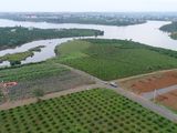 Bán Đất Viu Hồ