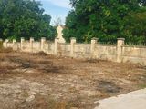 Bán Gấp Lô Đất View Đầm Thủy Triều Giá Chỉ 3Tr3/m2