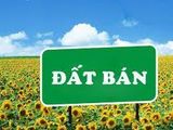 Bán Đất Mặt Ngõ Bàng La, Đồ Sơn, Hải Phòng.