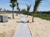 Chỉ Với 800 Triệu Có Thể Sở Hữu Lô View Sông Cổ Cò, Gần Biển Thống Nhất
