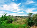 Đất Long Hải, Giá Đầu Tư