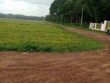 Đất Nền 1000M2 Bình Dương Giá Siêu Rẻ .