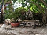 Bán Đất Thổ Cư 5X20M, Shr, Hxh, Nguyễn Văn Tạo, Giá 2.2 Tỷ