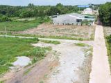 Kẹt Tiền Bán Lô Đất Mặt Tiền Quốc Lộ 13 Chơn Thành_1227M2/ 900 Triệu_Shr 0909775636