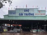 Cần Bán Gấp Đất Chính Chủ 1.000M2 Tại Bình Dương