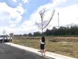 Bán Đất Nền Trảng Bom