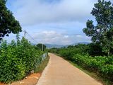 Chính Chủ Cần Bán Gấp Đất Có Sẵn Nhà Tại Thanh Trì, Đông Thanh, Lâm Hà, Lâm Đồng