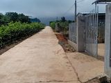 Chính Chủ Cần Bán Gấp Đất Có Sẵn Nhà Tại Thanh Trì, Đông Thanh, Lâm Hà, Lâm Đồng