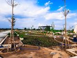 Còn Đúng 2 Nền Đẹp, Rẻ Đối Diện Công Viên