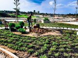 Còn Đúng 2 Nền Đẹp, Rẻ Đối Diện Công Viên