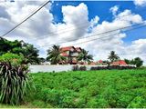 Con Bị Tai Nạn Cần Tiền Phẩu Thuật Gấp Bán Lô Đất 183M2 Ở Củ Chi 0762734494