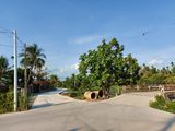 Bán Đất Biệt Thự Vườn Đường An Sơn 1, Bình Dương 746M2