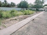 Nền Đẹp - Giá Phải Chăng.