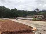 Sở Hữu Lô 3 Mt Đường Lý Thái Tổ, View Đồi Thông, Gần Nút Giao Cao Tốc Gd_Lk