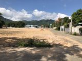 Chính Chủ Bán 2 Lô Đất Full Thổ Cư Dt 240M2 Giá 1 Tỉ Đường Châu Pha-Bà Rịa