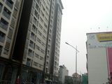 Chính Chủ Cho Thuê Chung Cư The Vesta Chỉ 5,5Tr/tháng