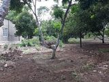 Cần Bán 315M2 Đất Tp Long Khánh, Chỉ 620 Triệu, Sag Tên Ngay