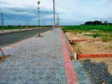 Vạn Phát Sông Hậu 678