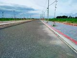 Vạn Phát Sông Hậu 678