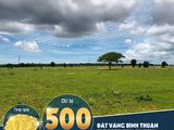 Đất Vườn Bình Thuận Giá Chỉ 60.000Vnd/1M2