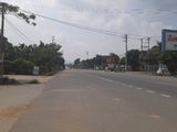 Bán Đất Thổ Cư Tại Tiến Xuân Ngã Tư Miễu Cách Trục Đường Đại Lộ Thăng Long Kéo Dài 100 Mét